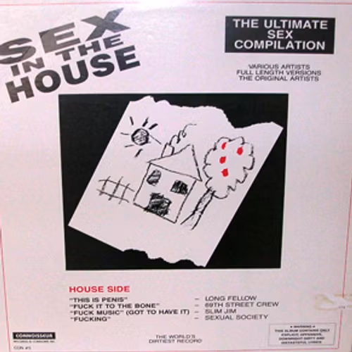 VARIOUS Sex in the House / Sex in the Hood (Connoisseur - USA original) (VG/VG+) LP