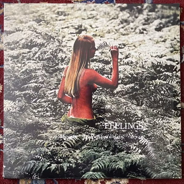 JAY RICHFORD & GARY STEVAN Feelings (Golden Pavilion Records - Portugal reissue) (NM/EX) LP