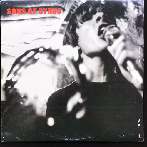 SONS OF CYRUS Sons Of Cyrus (Big Brothel - Sweden original) (VG+) LP