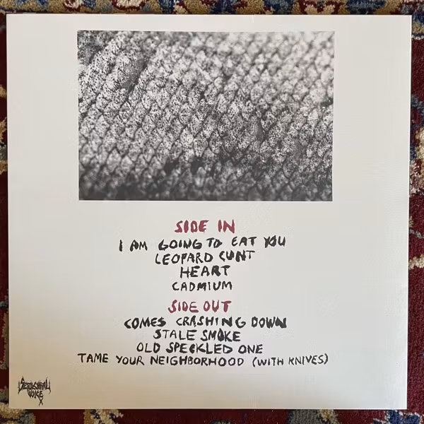 REVEAL Flystrips (Sepulchral Voice - Germany original) (NM) LP