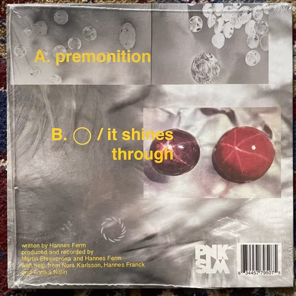 HOLY Premonition (PNKSLM - Sweden original) (NM/EX) 7"