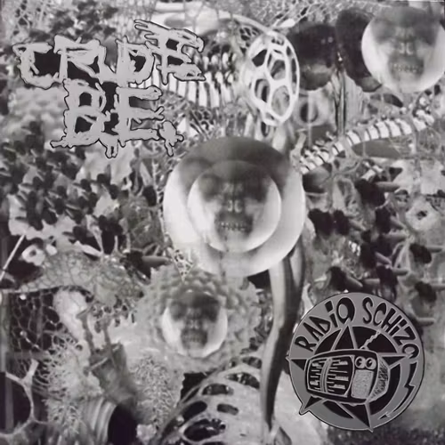 CRUDE B.E./RADIO SCHIZO Split (Merciless - Germany original) (EX/NM) LP