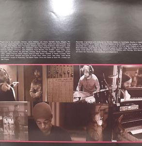 ÆGES The Bridge (Pink/black swirl vinyl) (The Mylene Sheath - USA original) (NM) LP