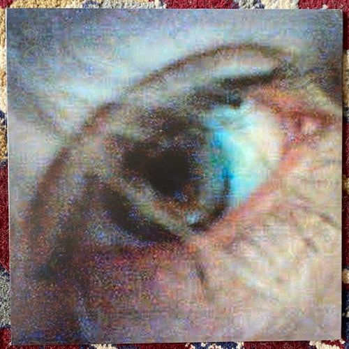 ANA DA SILVA In Awe Of A Painting (Clear vinyl) (Chicks on Speed - Germany original) (EX) 7"