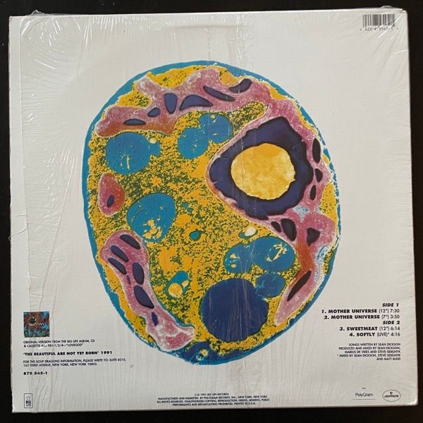 SOUP DRAGONS, the Mother Universe / Sweetmeat (Big Life - USA original) (VG+/EX) 12"