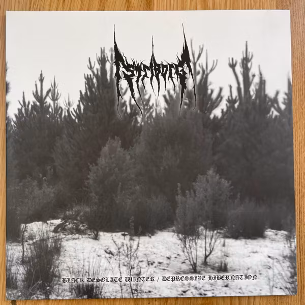 STRIBORG Black Desolate Winter / Depressive Hibernation (White / black vinyl) (Aphelion - UK original) (EX/NM) 2LP