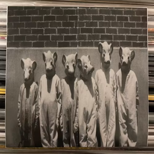 WEREWOLF JERUSALEM / REGOSPHERE Split (DumpsterScore - USA original) (NM) CDR