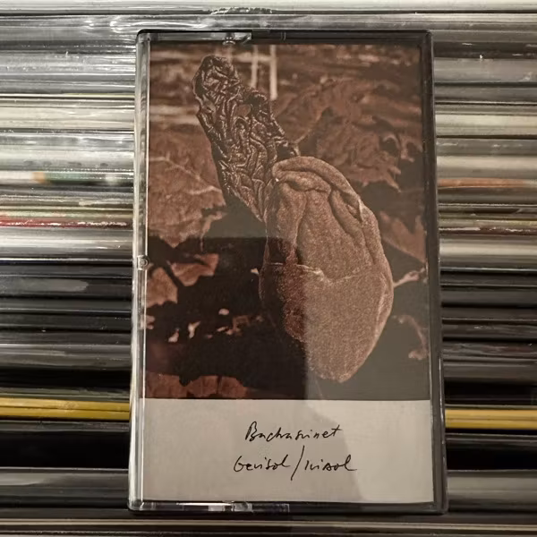 BACKASVINET Gevisol / Ivisol (Elbogen Fonogram - Sweden original) (NM) TAPE