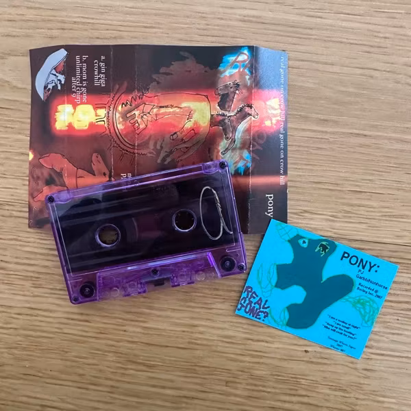 NONO NONHORSE & PJ GARBB Real Gone On Crow Hill (Teenage Whore - USA original) (EX) TAPE