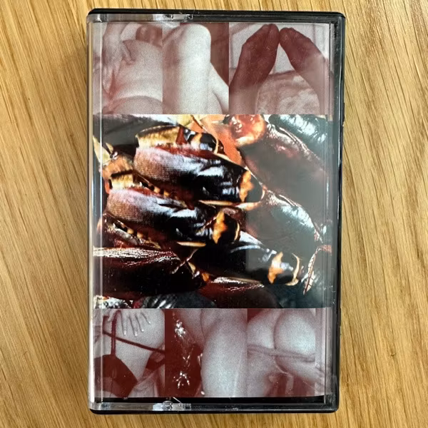 KAKERLAK Slick & Brown (Abisko - Sweden original) (NM) TAPE