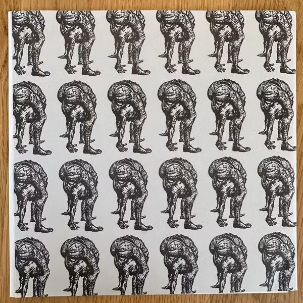 ARSEDESTROYER / NOISESLUGHTER A Different View (Psycho Mania - UK original) (EX/VG+) 7"