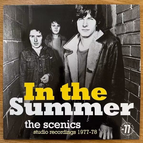 SCENICS, the In The Summer (Studio Recordings 1977-1978) (Rave Up - Italy original) (NM) LP