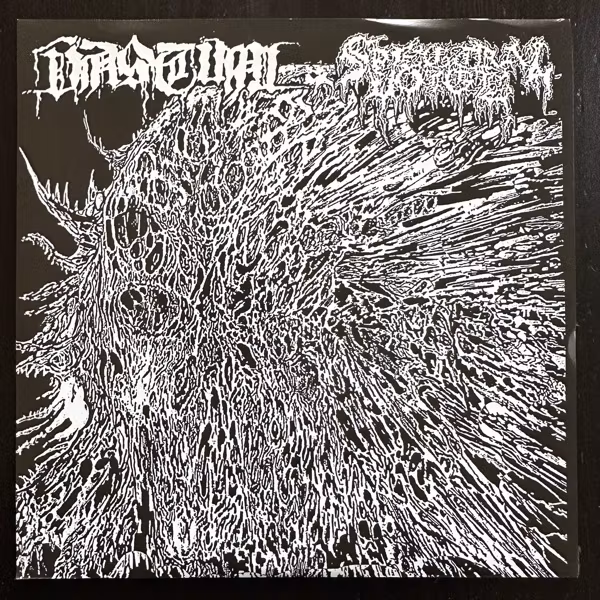VASTUM / SPECTRAL VOICE Split (Blue vinyl) (Dark Descent - USA original) (EX/NM) 7"