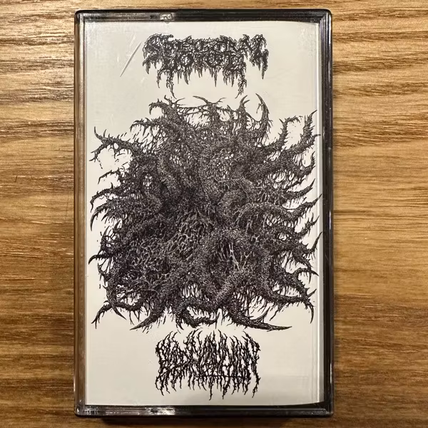 SPECTRAL VOICE / BLOOD INCANTATION Split (Woodsmoke – Europe reissue) (NM) TAPE