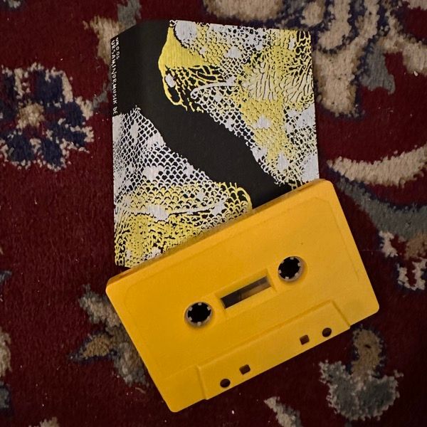 SHIVERS Sewer Tunes (Ursa Minor Musik - Germany original) (NM) TAPE