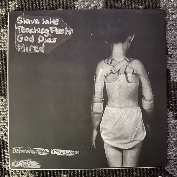 FAMILY ENEMA Family Enema (Dead Section - Denmark original) (EX) 7"