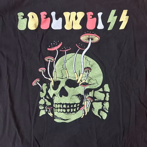 EDELWEISS EdelweiSS (S) (USED) T-SHIRT