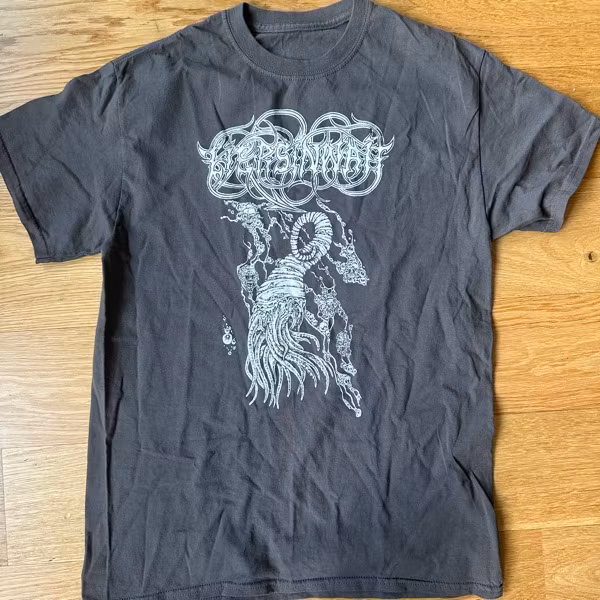 LIERS IN WAIT Liers In Wait (M) (USED) T-SHIRT