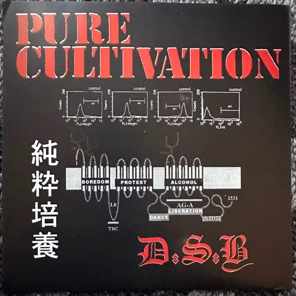 D.S.B. Pure Cultivation (Partners In Crime – USA original) (EX) 7"