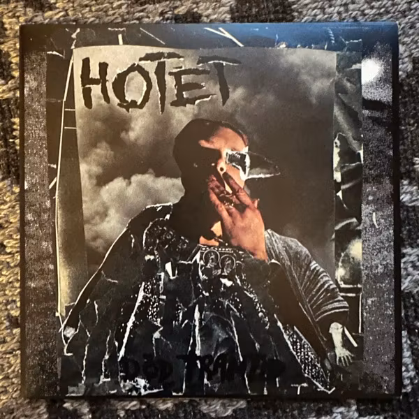 HOTET Död Framtid (Never Understand - Sweden original) (EX) 7"