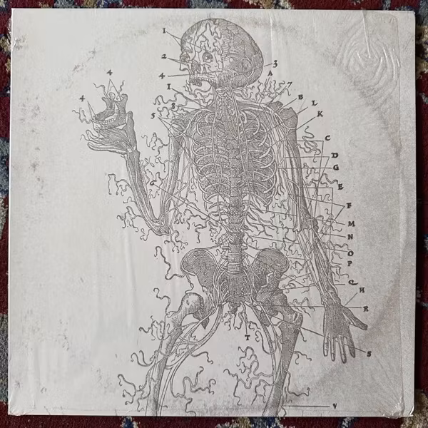 LAST DOMINION LOST Abomination Of Desolation (The Epicurean – Europe original) (EX) LP