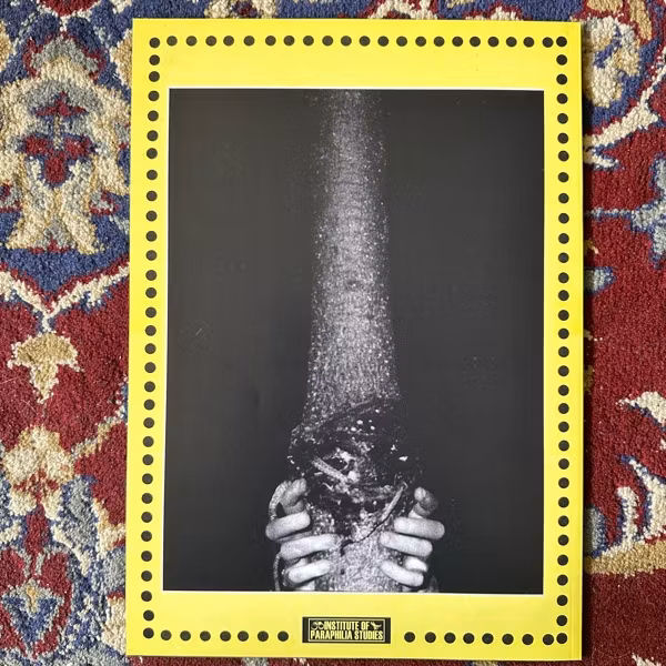 JUKKA SIIKALA Seksnobyl Vol. 2 (IOPS - Finland original) (EX) MAGAZINE