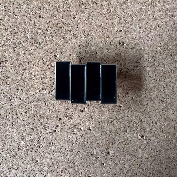 BLACK FLAG Logo (NM) METAL PIN