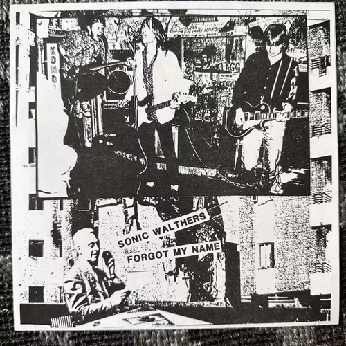 SONIC WALTHERS, the Forgot My Name (Arts Of Interstellar Torture – Sweden original) (NM/EX) FLEXI 7"