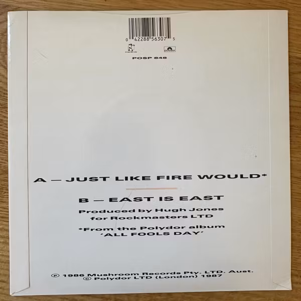 SAINTS, the Just Like Fire Would (Polydor - UK original) (EX) 7"
