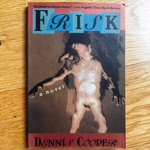 DENNIS COOPER Frisk (Serpent's Tail) (VG+) BOOK