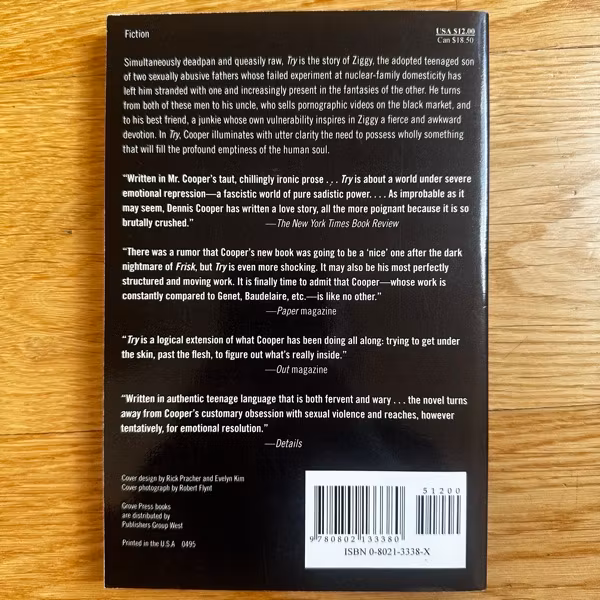 DENNIS COOPER Try (Grove) (EX) BOOK