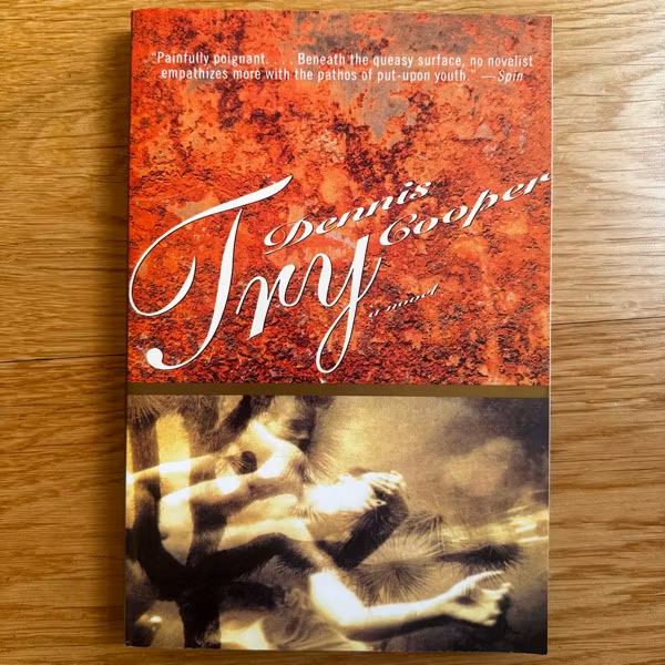 DENNIS COOPER Try (Grove) (EX) BOOK