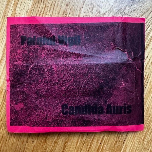 PAINFUL VIGIL Candida Auris (Room 2A - USA original) (VG) TAPE