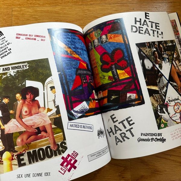 PAINFUL BUT FABULOUS The Lives and Art of Genesis P-Orridge (Soft Skull 2002) (VG+) BOOK