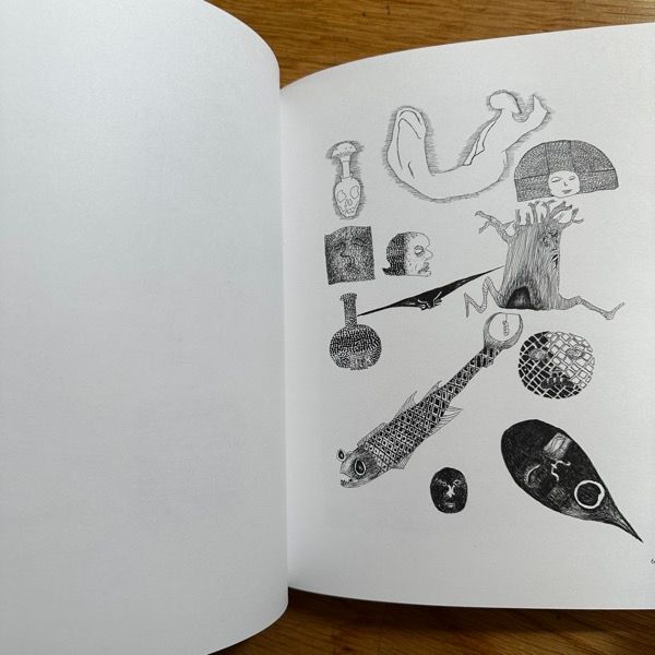 VISIONS OF POPE ADRIAN 37th Nick Blinko (Coptic Cat 2011) (NM) BOOK