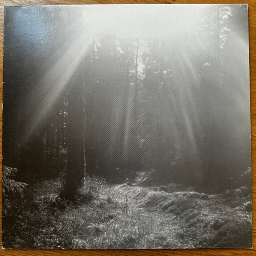 VARIOUS Eight Acts Of Origin (Raging Bloodlust - Germany original) (VG+/NM) LP