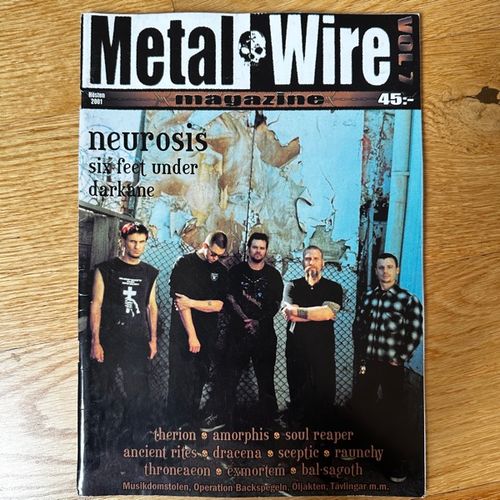 METAL WIRE #7 2001