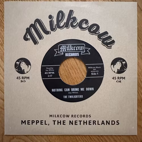TWILIGHTERS, the Nothing Can Bring Me Down (Milkcow - Holland reissue) (EX/NM) 7"