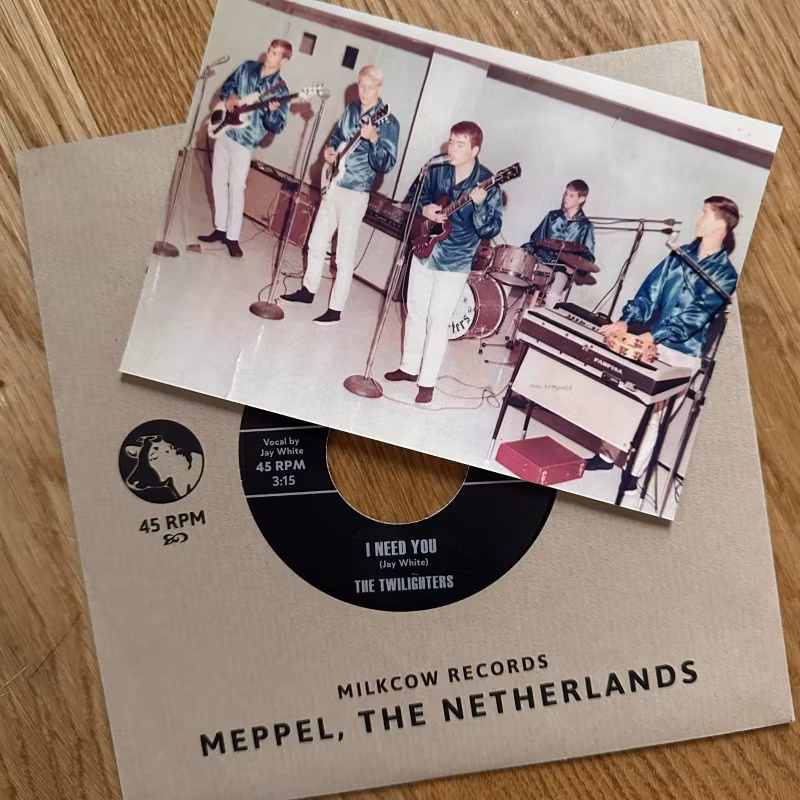 TWILIGHTERS, the Nothing Can Bring Me Down (Milkcow - Holland reissue) (EX/NM) 7"