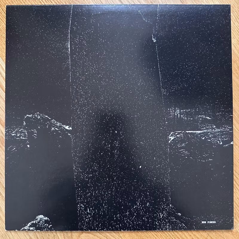 SISSY SPACEK Trash Staging (New Forces - USA original) (EX) LP