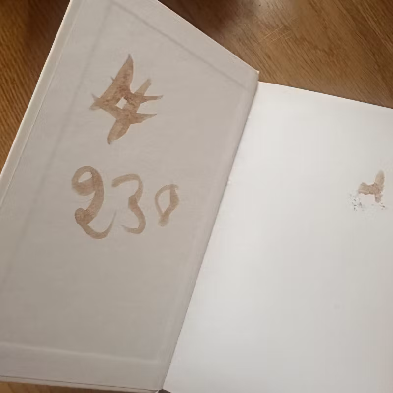 NIKLAS KVARFORTH When Prozac No longer Helps (White version) (NM) BOOK