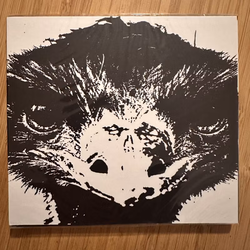 TORTURING NURSE / NO VISITORS I Always Feel Like Somebody's Watching Me (Rural Isolation Project – USA original) (SS) CD