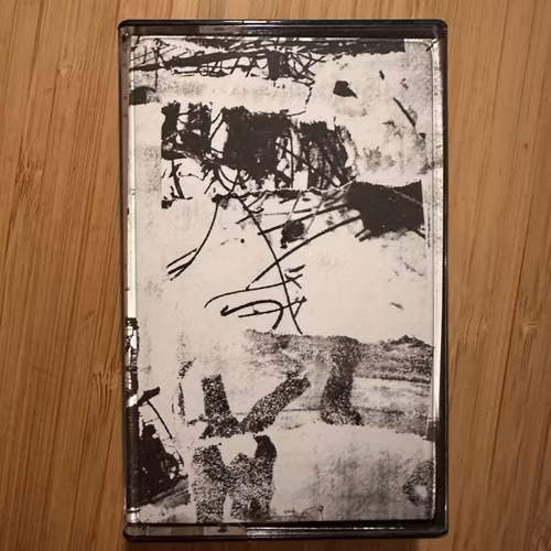 PLOUGHSHARE Grey Skin Beneath Grey Suit (Disclosures - USA original) (NM) TAPE
