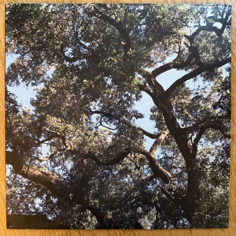 CHARLES MANSON Trees (Blue vinyl, ltd to 50) (Magic Bullet - USA original) (EX) LP