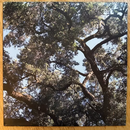 CHARLES MANSON Trees (Blue vinyl, ltd to 50) (Magic Bullet - USA original) (EX) LP