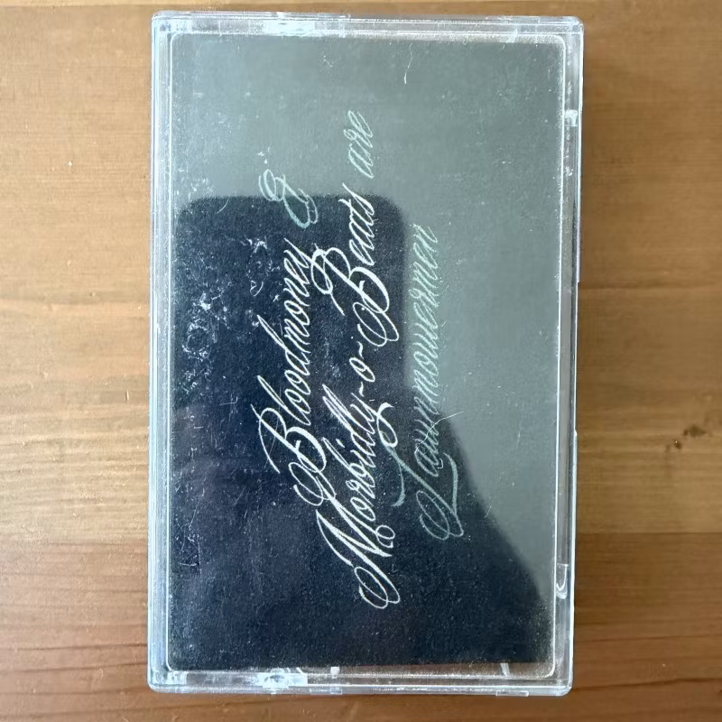 BLOODMONEY & MORBIDLY-O-BEATS ARE LAWNMOWERMEN Lawnmowermen (I Had An Accident - USA original) (NM) TAPE