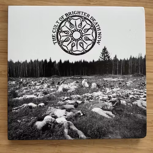 BRIGHTER DEATH NOW All Too Bad - Bad To All (Cold Meat Industry - Sweden original) (NM) CD