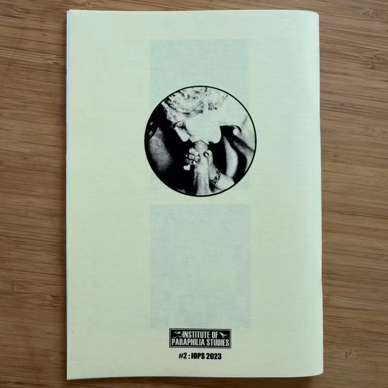 PORN RECYCLE #2 (IOPS - Finland original) (NM) FANZINE