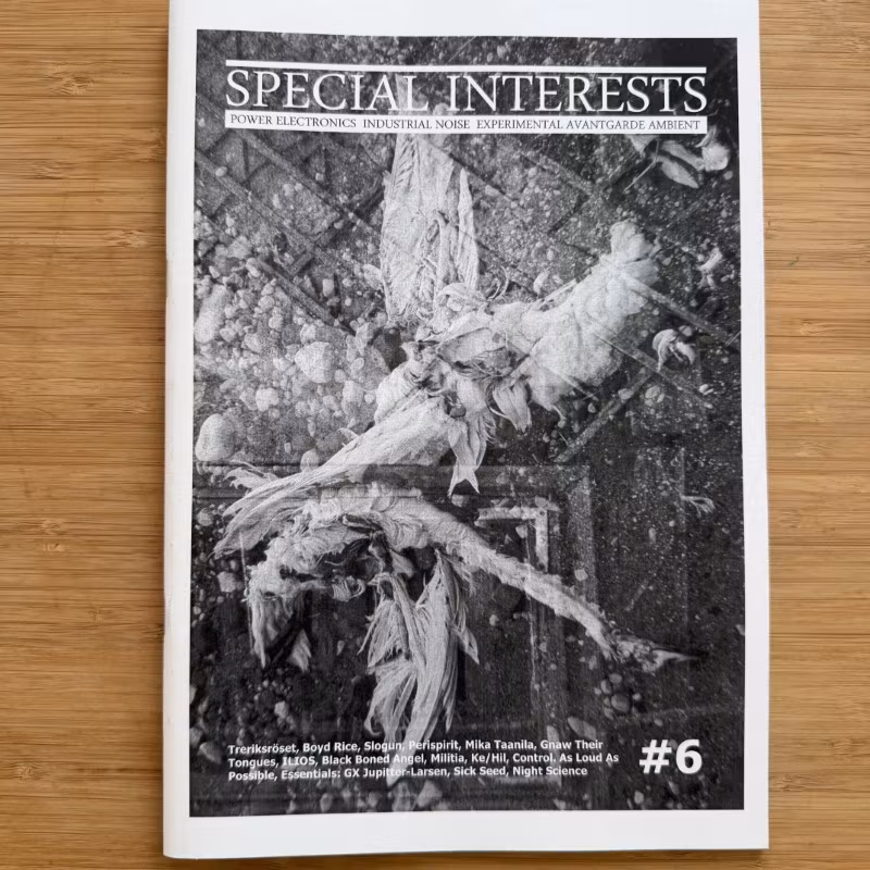 SPECIAL INTERESTS #6 (Finland reissue) (NM) MAGAZINE