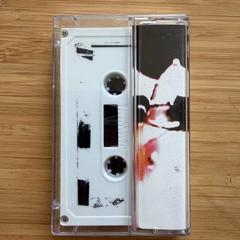 BIZARRE UPROAR 3/10/2014 Lily The Flesh Live (Filth And Violence - Finland original) (NM) TAPE